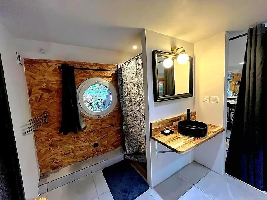 Appartement Magnifique Peniche Cosy Et Spacieuse A Toulouse France