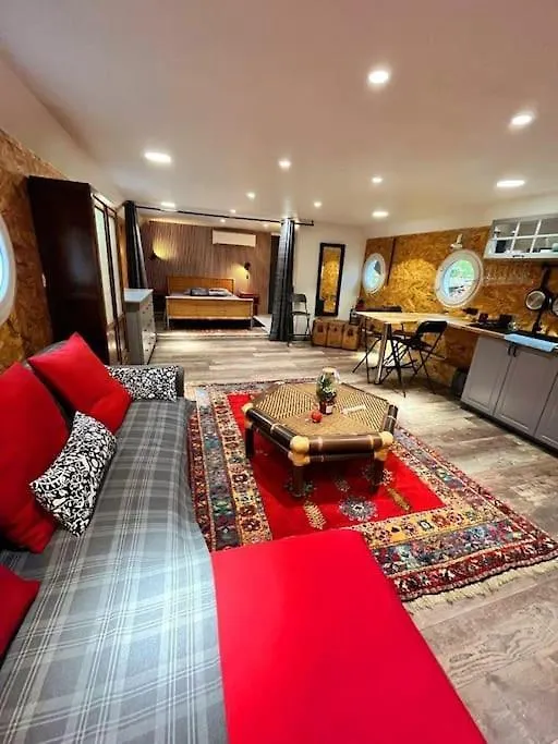 Magnifique Peniche Cosy Et Spacieuse A Toulouse Appartement